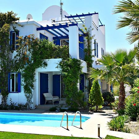 Latchi Beach Front Villa - Private Heated Pool - Amazing Uninterrupted Sea Views Polis Buitenkant foto